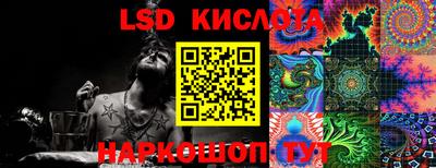 СК Донецк