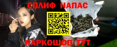 СК Донецк