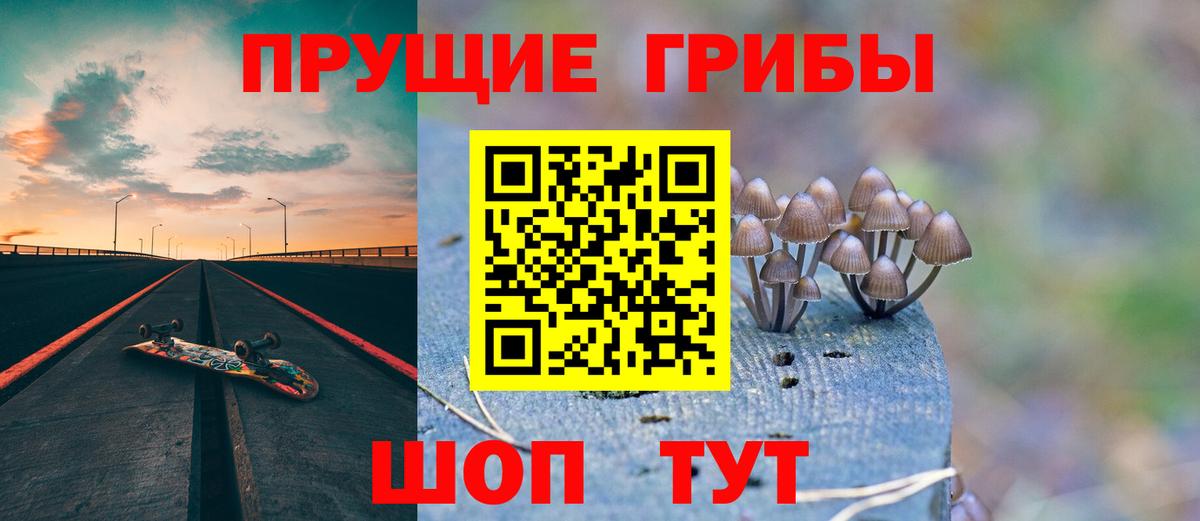 Псилоцибиновые грибы GOLDEN TEACHER  Псилоцибиновые грибы мицелий  Вход с VPN  Магадан 